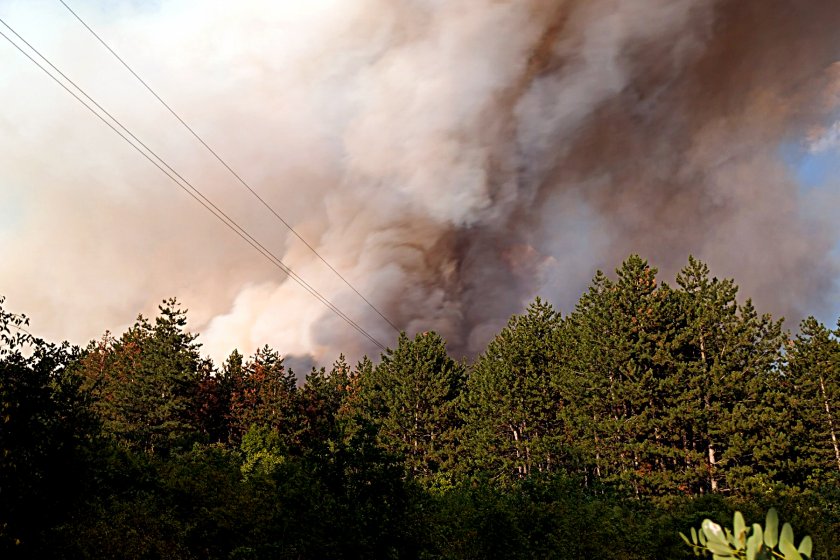 Големият пожар край Стара Загора е локализиран, на място има дежурни екипи