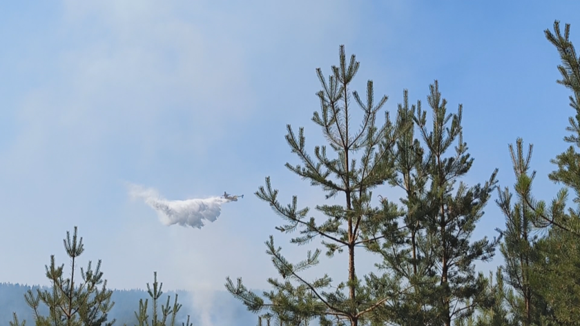 френски самолети вече гасят пожара българо гръцката граница