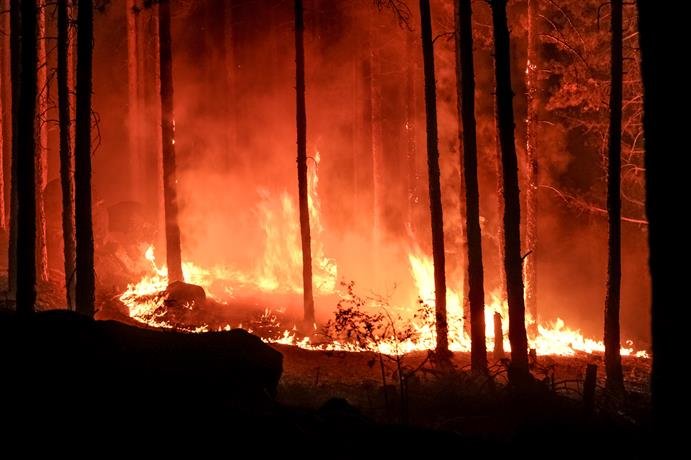 Министър Стоянов даде кратка информация за ситуацията с пожара, възникнал