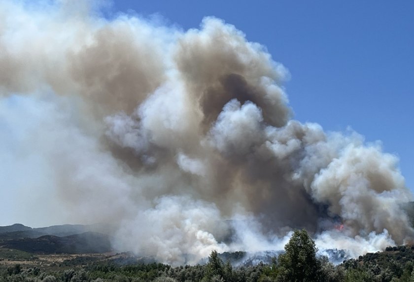 голям пожар избухна община струмяни снимки