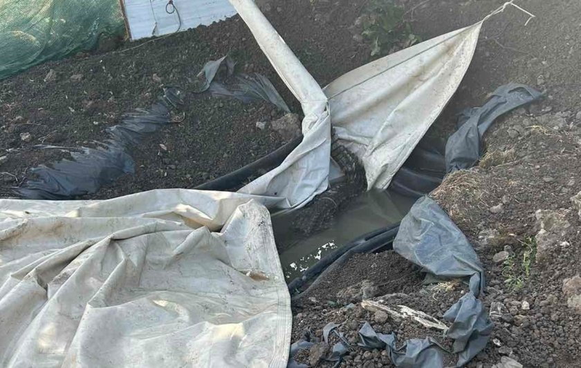 Откриха крокодил в столичния квартал Ботунец, съобщиха от Столичната община.