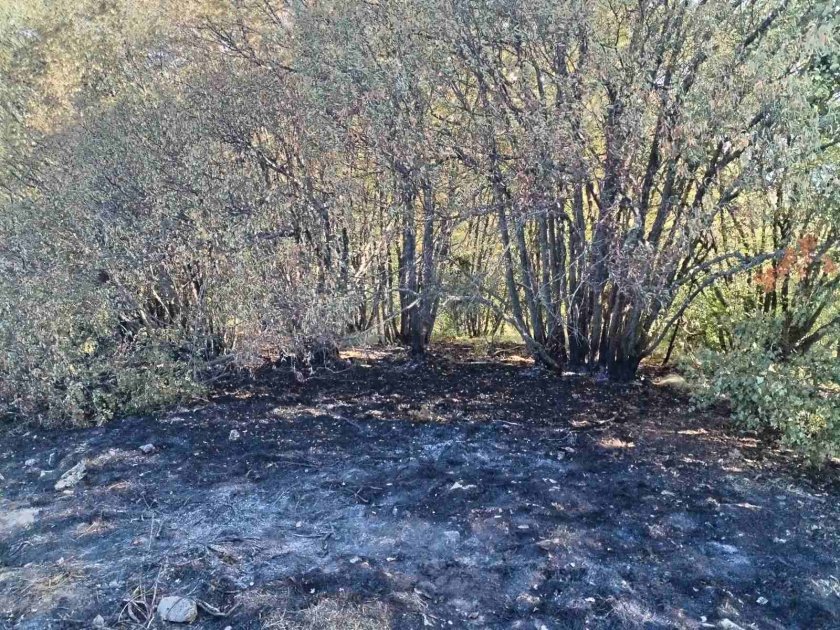 Продължава борбата с огнената стихия в планината Славянка и по