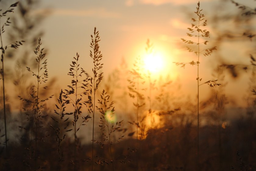 Днес ще бъде предимно слънчево. Ще духа слаб, в източните