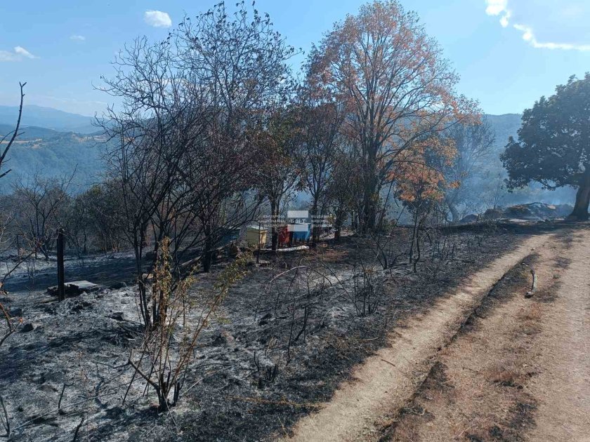 Загасен е пожарът в село Лисия, пламъците тръгнали от пчелин