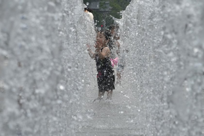 Екипът ни избра поредица от интересни снимки от последните 9