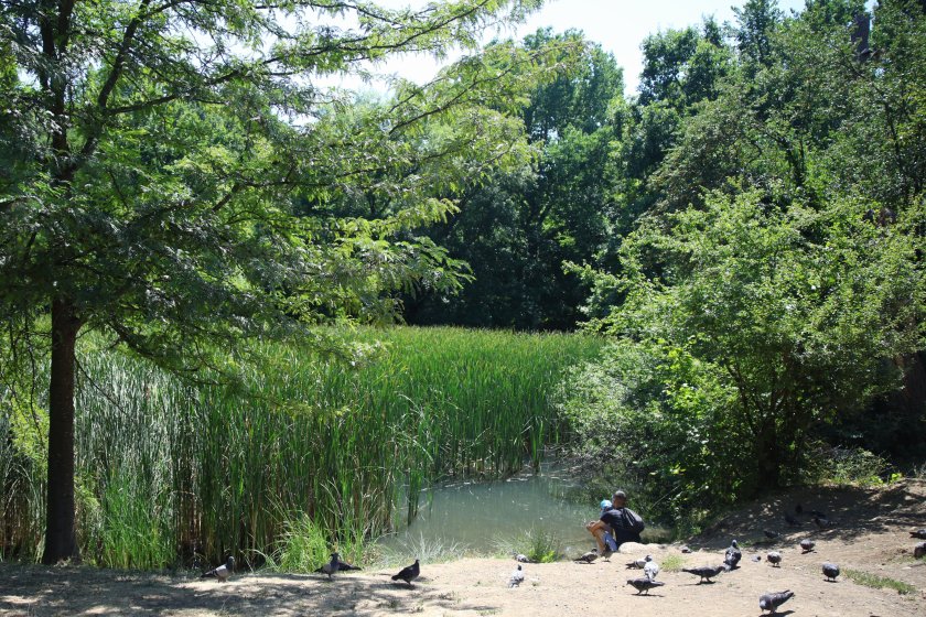 По-малко бяха валежите и гръмотевиците през последното денонощие, на повече