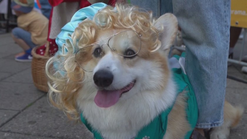 В столицата на Литва, Вилнюс, се проведе третото ежегодно състезание