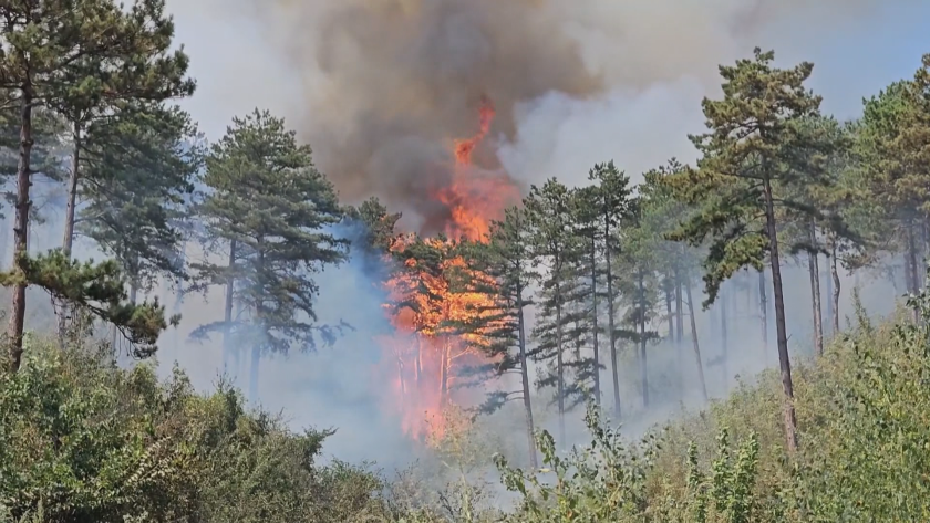 трети ден. Огънят обхвана над 20 декара планинска растителност, а