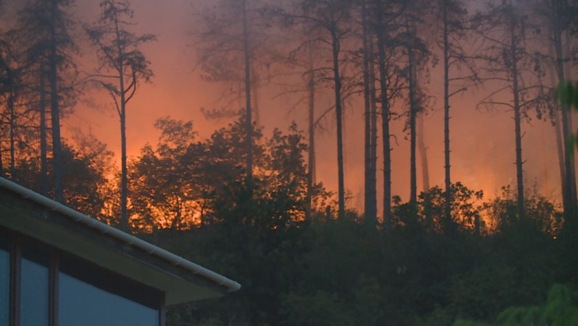 Голям пожар гори в района на село Каменар над Варна.