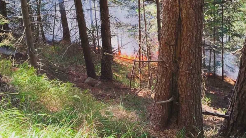 Пожарът в Рила вероятно е тръгнал от мълния