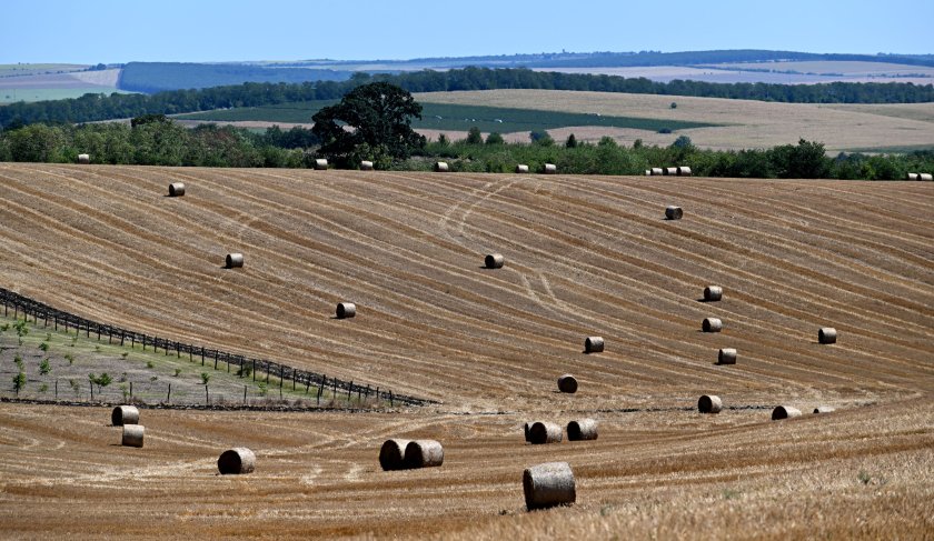 Ще бъде слънчево. След обяд ще се развива купеста облачност,