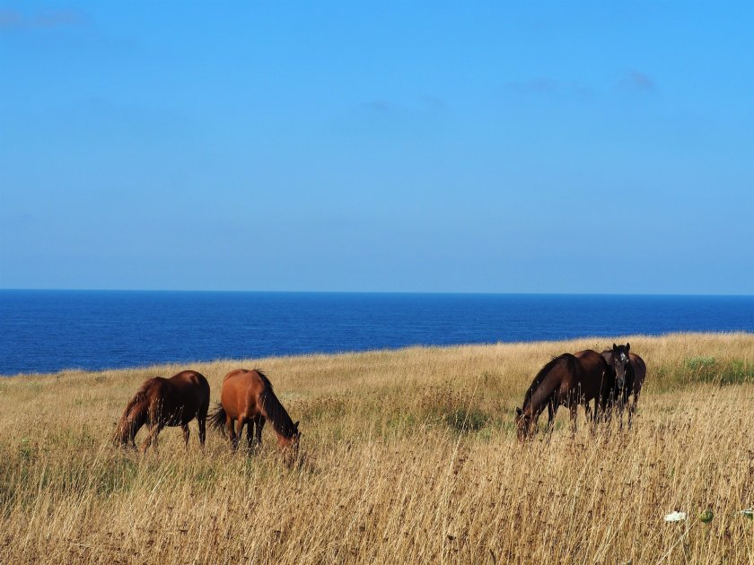 Слънчев и топъл ден ни предстои днес, с максимални температури