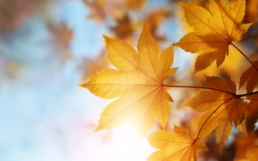 Днес ще бъде слънчево с разкъсана предимно висока облачност. Ще