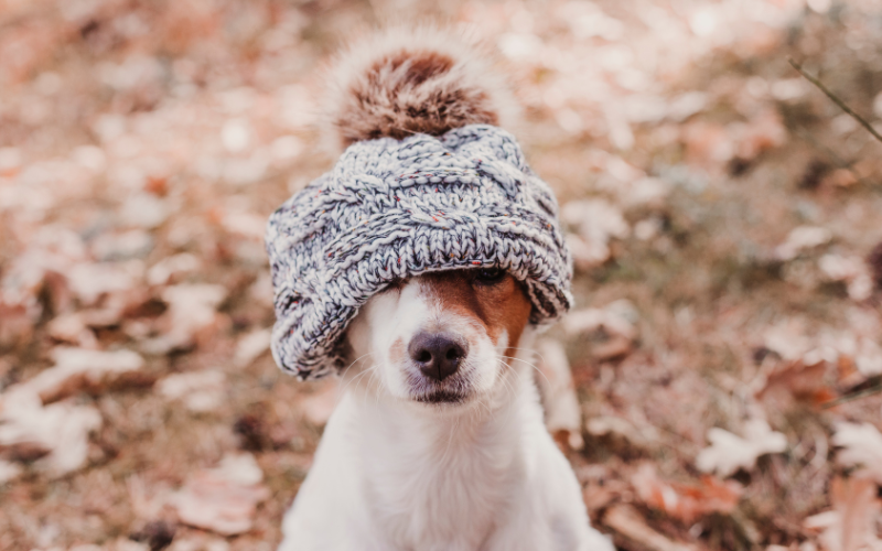 През нощта вятърът в по-голямата част от страната отслабна, облачността