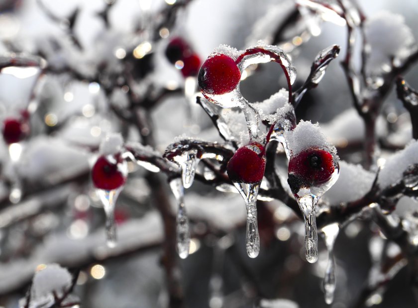 Над по-голямата част от страната ще се задържи облачно, с