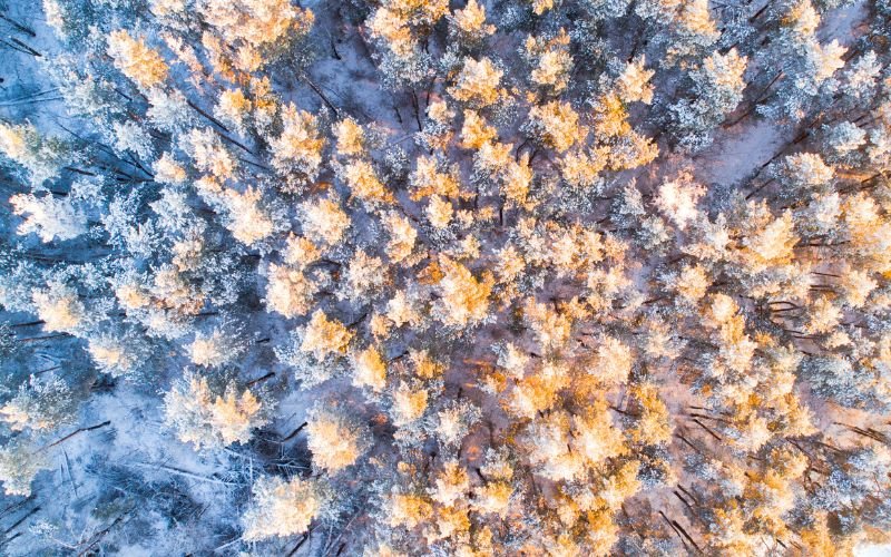 В широки граници бяха минималните температури тази сутрин - в