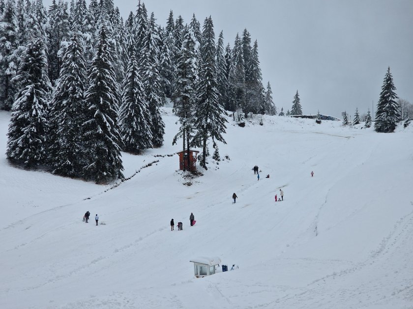 Протест с искане за по-добро обезопасяване на ски писта Мечи
