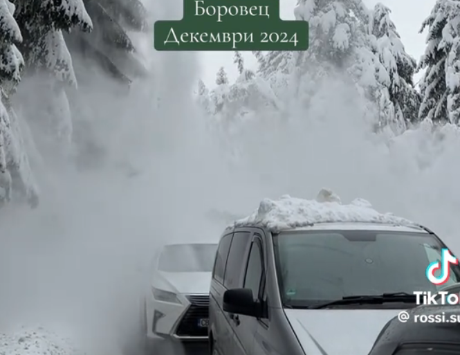 Огромен бор се скърши под тежестта на снега на пътя Самоков - Боровец (ВИДЕО)