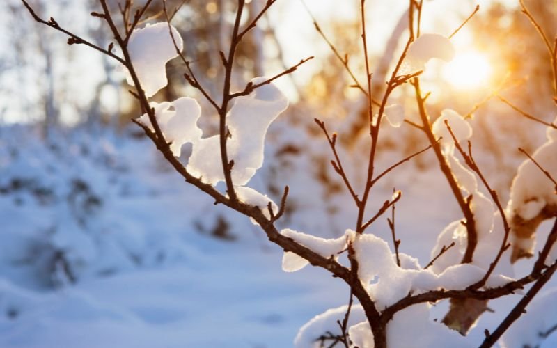 За пореден ден минималните температури днес останаха в широки граници