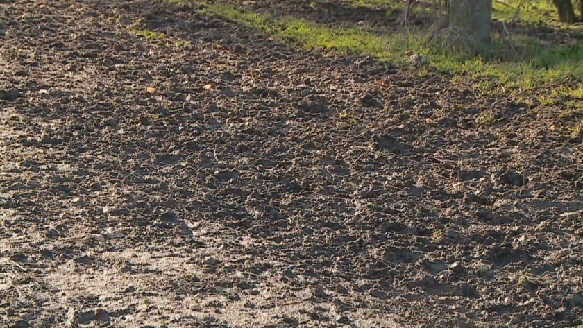 Нечистотия и агресивно поведение: Собственик на ферма тормози цяло село