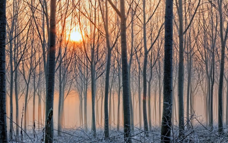 Над по-голямата част от страната ще бъде слънчево. На места