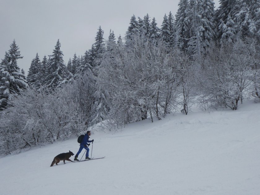 Ограничен достъп за коли и повече автобуси към Витоша през