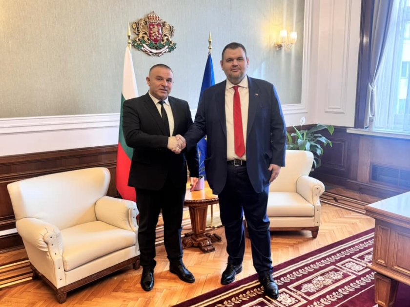 Стефан Ботев и Делян Пеевски