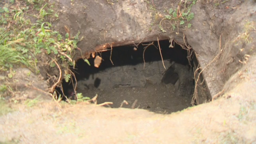 Мистериозни дупки се появиха в Морската градина във Варна