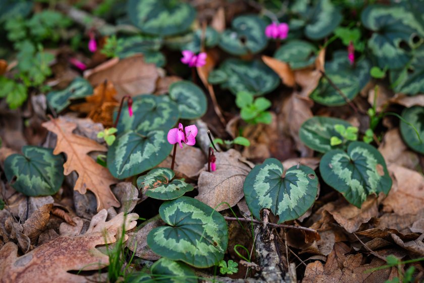 По-студено е тази сутрин. След минус 5° вчера, днес най-ниската