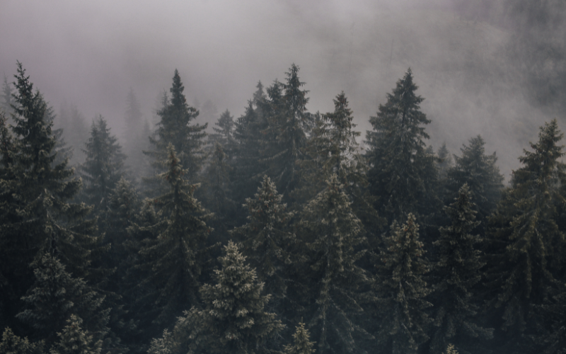 Температурите в съботното утро бяха от минус 5 градуса в