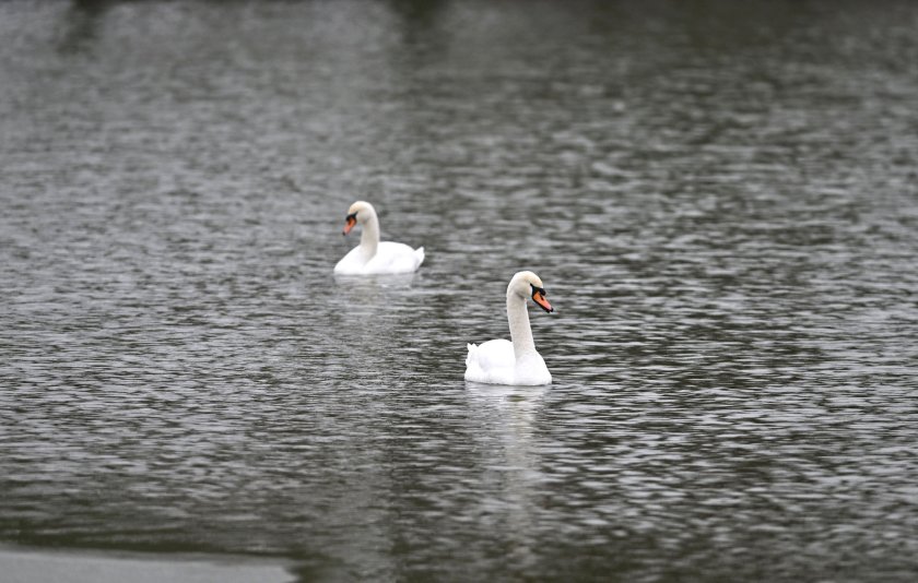 Днес ще бъде предимно слънчево, с разкъсана облачност над Западна