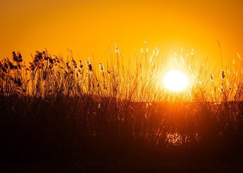 красотата българия залез мандренското езеро бургас снимки