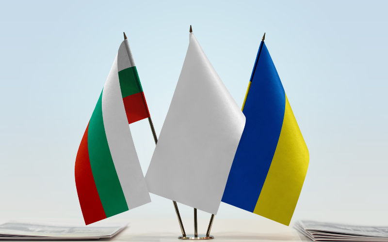 Никой никъде не е повдигал въпроса за изпращане на български