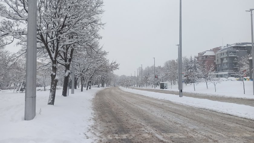 Обилният снеговалеж и силният вятър предизвикаха проблеми в Североизточна България.