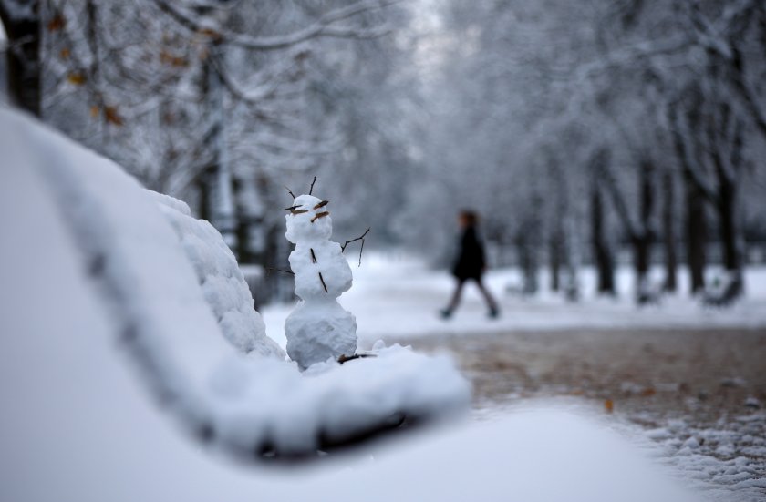 По поречието на Дунав, на места в низините и котловините