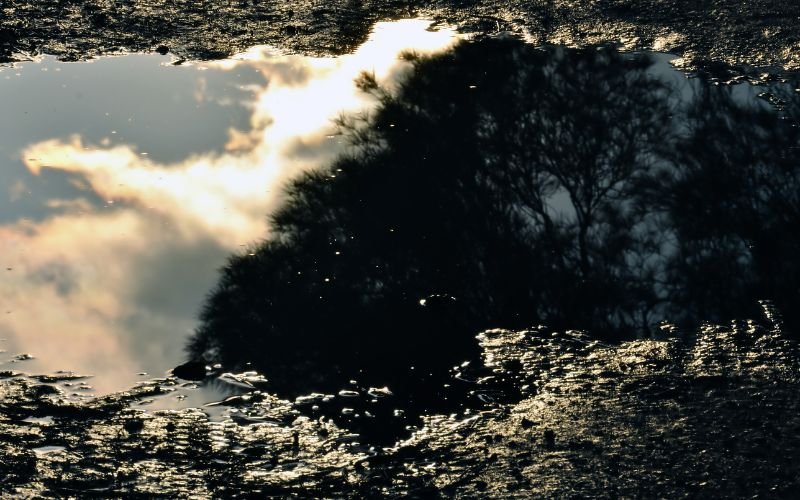 С почти повсеместни валежи от дъжд ще бъде в събота