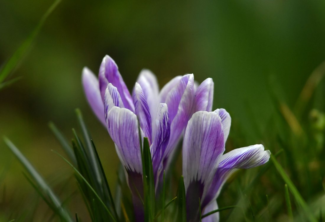 Слънчева сряда с температури до 18 градуса