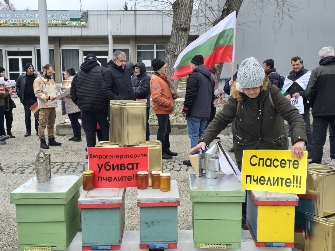десетки пчелари събраха добрич протест изграждането вятърни паркове
