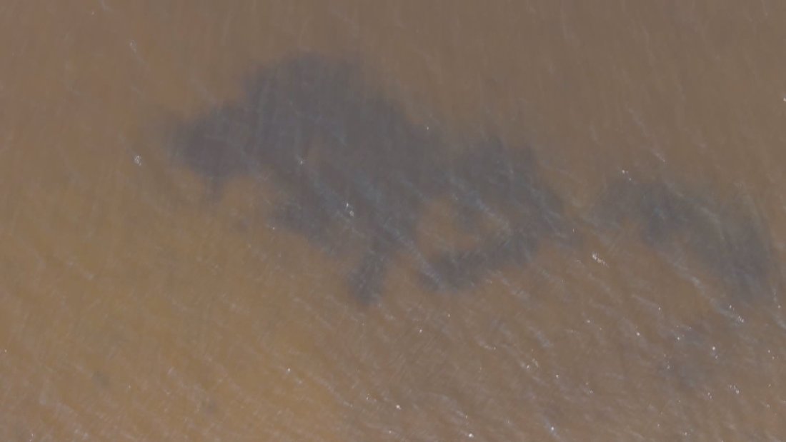 Цъфтеж на микроскопични водорасли оцвети морето и Варненското езеро