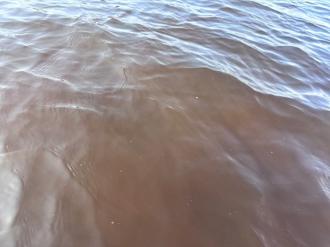 водата варнеското езеро стана червено кафяв цвят