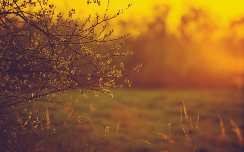 Облачността ще бъде предимно значителна, но висока. През деня вятърът