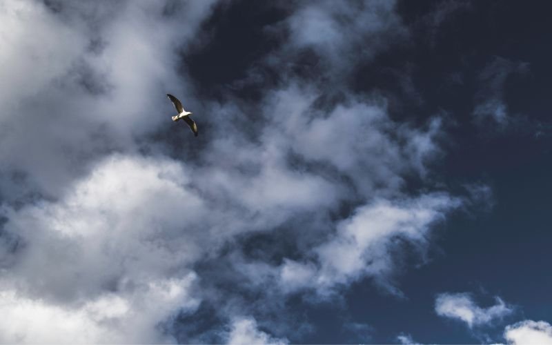 Със силния вятър и температурите продължават да се повишават -