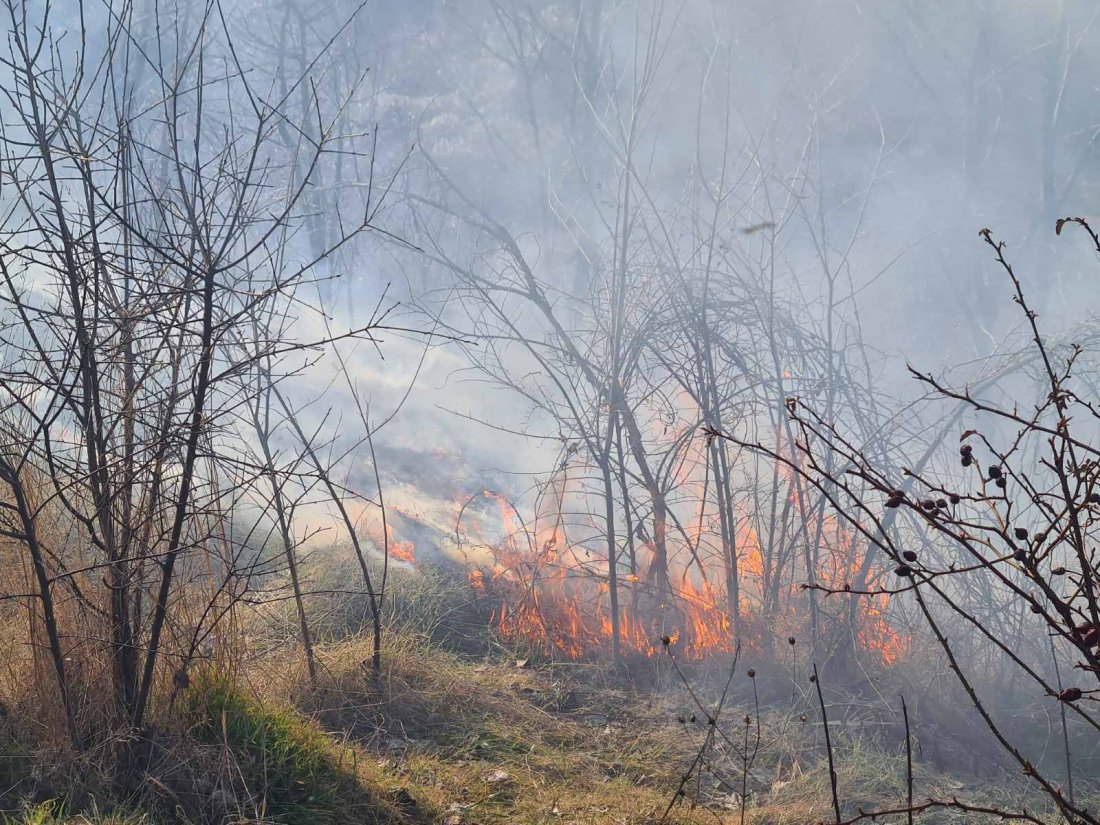 горят старите рибарници русенското село мечка