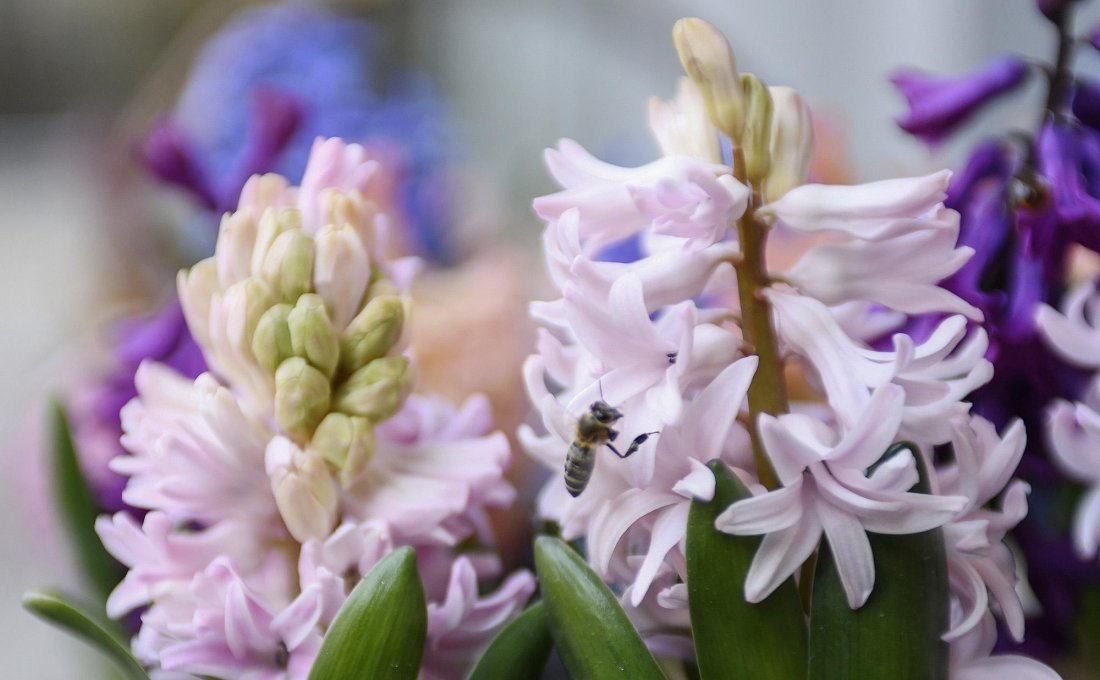 Ще бъде предимно слънчево, с разкъсана висока облачност. По-значителна ще
