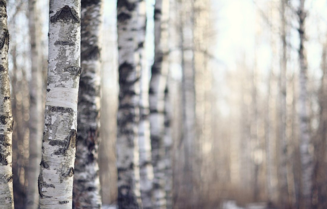 Температурите днес ще са от 25 до 30°, в София