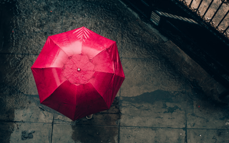 Днес от северозапад, с умерен и силен вятър, ще нахлува