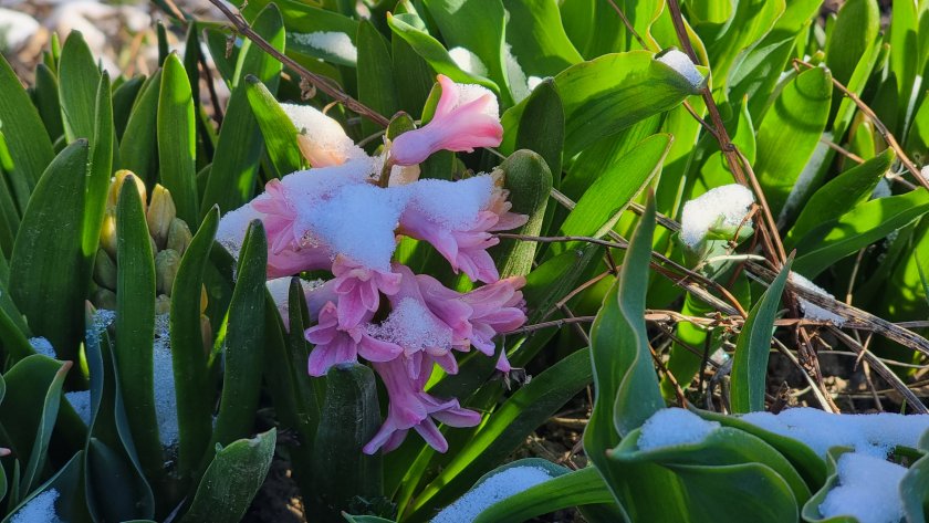 Слънчево и по-топло време днес