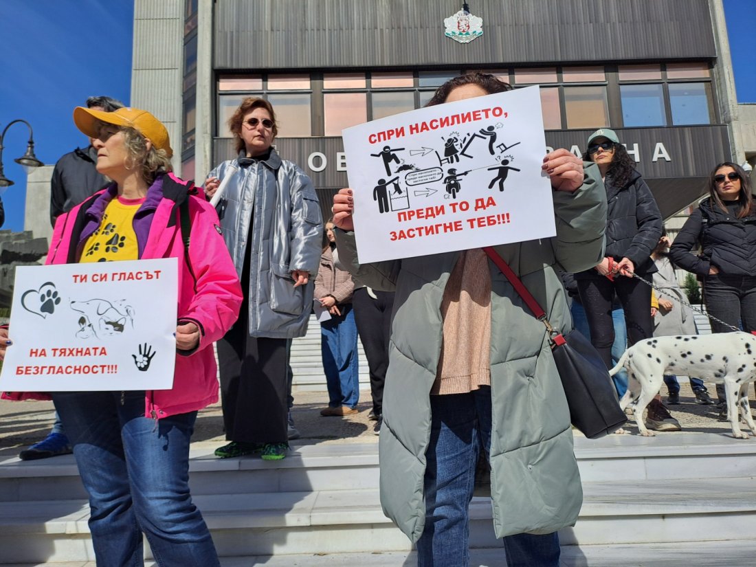 След бруталната агресия в Перник: Варна каза "не" на насилието над животни