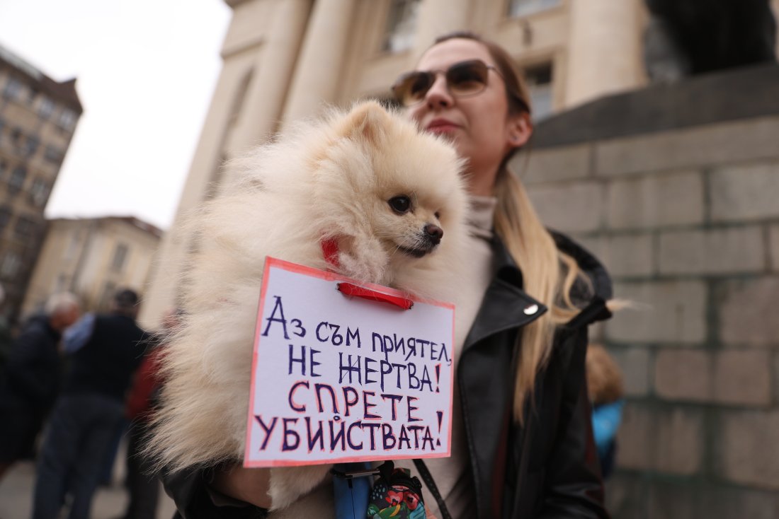 Срещу насилието над животни: Общественото недоволство не стихва (ОБЗОР)