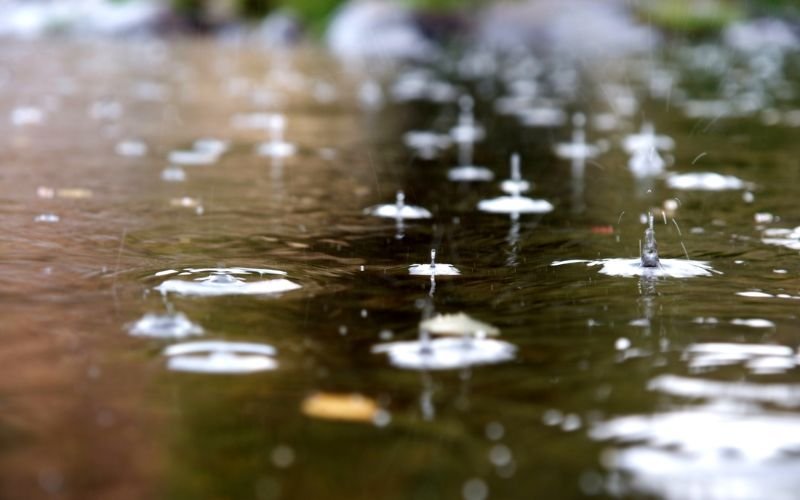 Слънце, мъгли, сняг, дъжд и гръмотевични бури в съботния ден